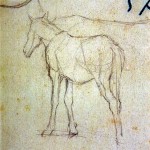 Disegni di Brancaleone Cugusi da Romana: studio per Cavallo