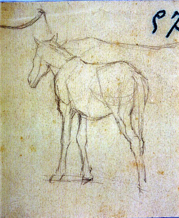 Disegni di Brancaleone Cugusi da Romana: studio per Cavallo